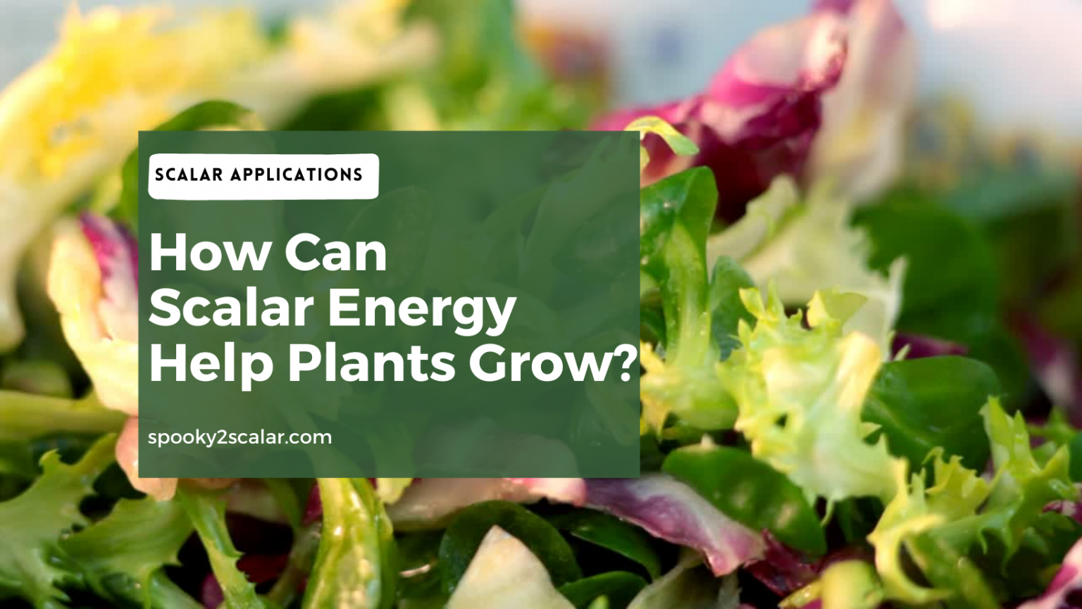 How Can Spooky2 Scalar Energy Help Plants Grow Spooky2 Scalar