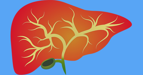 liver