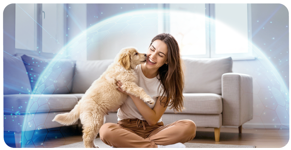 2.Protection from harmful EMFs, reducing environmental stress